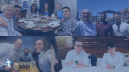 Collage of Trindent Consulting employees