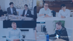Various Trindent consulting staff